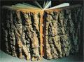Arborist Directory Arborist Directory