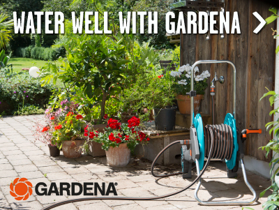 Golden rules for watering